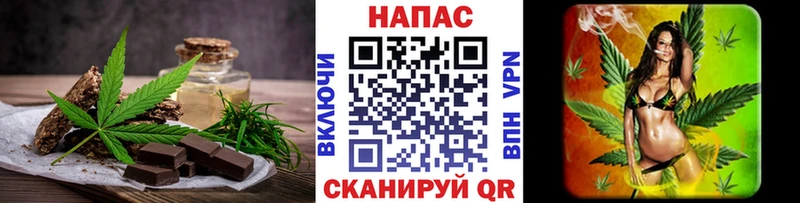 цена   Короча  Canna-Cookies конопля 