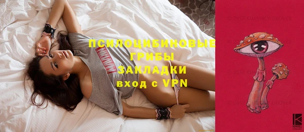 марки nbome Белокуриха