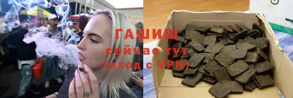 индика Беломорск