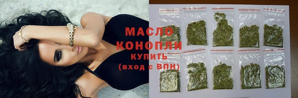 индика Беломорск