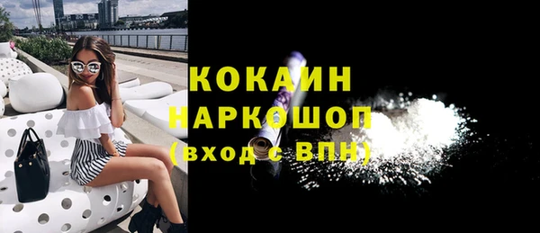 индика Беломорск