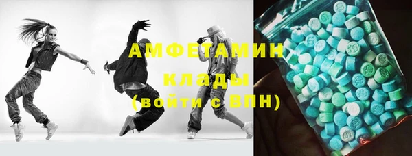 индика Беломорск