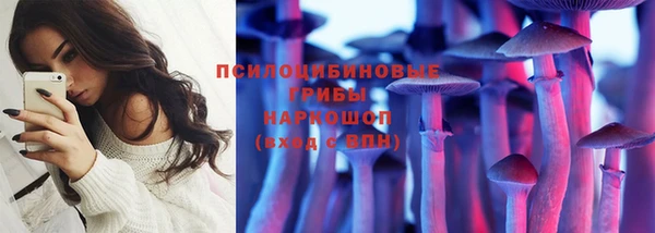 марки nbome Белокуриха