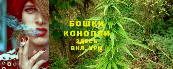 индика Беломорск