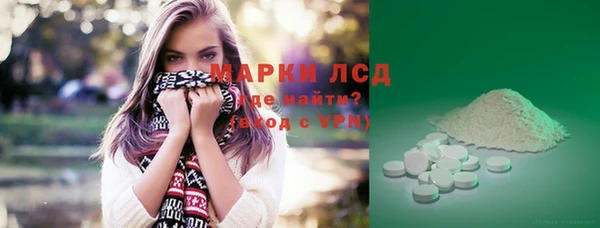 индика Беломорск