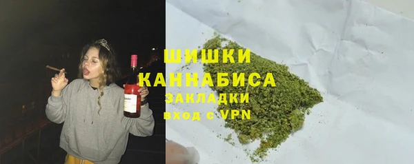индика Беломорск