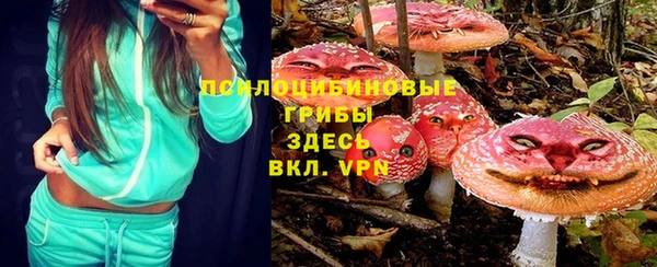 индика Беломорск