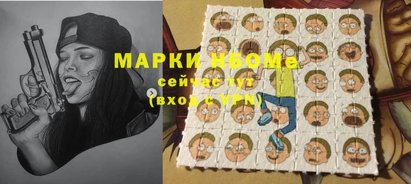 индика Беломорск