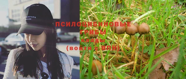 марки nbome Белокуриха
