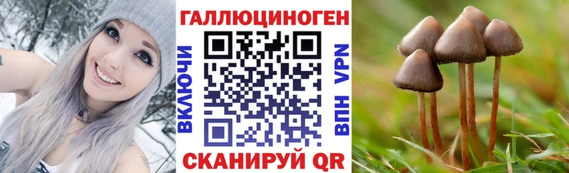 Псилоцибиновые грибы Magic Shrooms  Короча 